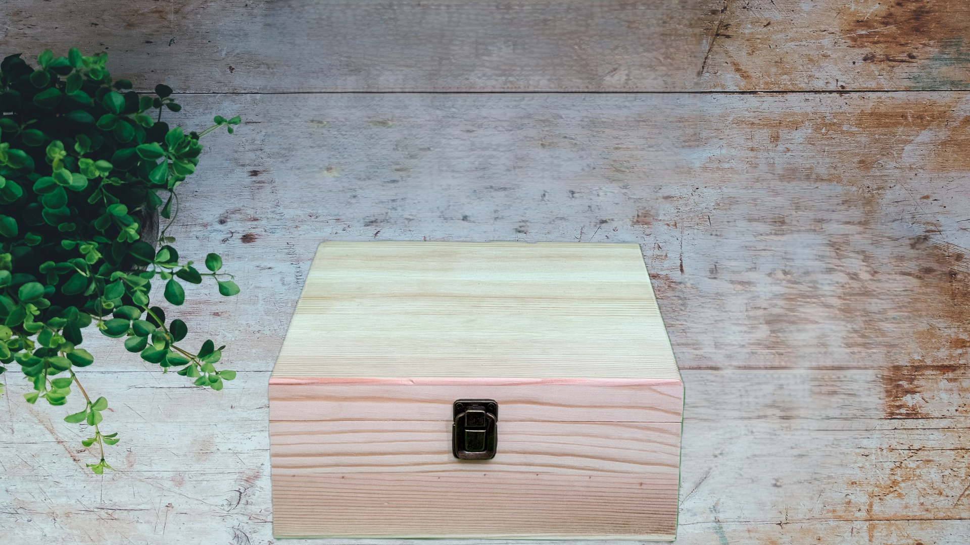 Hopper's Box - Founder's Edition - Image 2